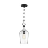 Hartley 1 Light Small Pendant by Nuvo - 60-67-1P