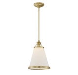 Polar 1 Light Medium Pendant by Savoy House - 7-130-1