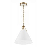 Xavier 1 Light Medium Pendant by Crystorama - XAV-B8301