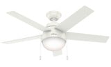 Anslee 46 Inch Ceiling Fan with LED Light Kit and Pull Chain by Hunter Fans - 1000182