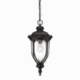 Laurens 1 Light Small Outdoor Pendant by Acclaim - 2216