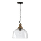 1 Light Medium Pendant 15.5 Inch Tall by Capital - 330318