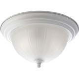 Melon 2 Light 13.25 Inch Wide Bowl Flush Mount by Progress - P3817
