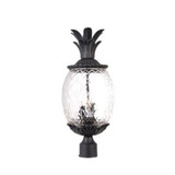 Lanai Three Light Post 10 Inches Wide by 22.25 Inches High by Acclaim  - 7517