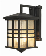 Craftsman 2 Light Outdoor Wall Lantern by Trans Globe - 4636