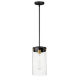 Pinn 1 Light Small Pendant by Maxim - 12408