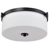 Liam 3 Light Flush Mount 6.38 Inch Tall and 16.63 Inch Wide by Nuvo - 60/8207