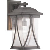 Abbott 1 Light Outdoor Wall Lantern 20.25 Inch Tall by Progress - P560115
