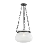 Granby 1 Light Medium Pendant by Hudson Valley - 1113