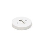 Single Circuit J Series Monopoint Canopy Adapter by WAC - JMP