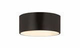 Harley 2 Light 12 Inch Wide Flush Mount by Z-Lite - 2302F2