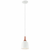 Danika 1 Light Mini Pendant by Kichler - 43682