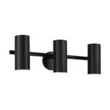 Robbie 3 Light Bath Vanity 8 Inch Tall and 24 Inch Wide by Capital - 161731