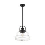 Basel 1 Light Medium Pendant by Nuvo - 60-675-P