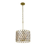 Windsor 4 Light Large Pendant by Varaluz - 345P04