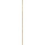 Accessory 12 Inch Stem .5 Inch Diameter by Hinkley 60812 - 60812