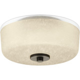 Alexa 2 Light 12.25 Inch Wide Flush Mount by Progress - P3620