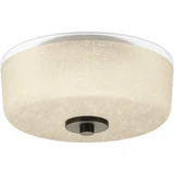 Alexa 2 Light 12.25 Inch Wide Flush Mount by Progress - P3620
