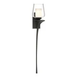Antasia Double Glass 1 Light Wall Sconce by Hubbardton Forge - 204712
