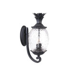Lanai 3 Light Outdoor Wall Lantern by Acclaim - 7511