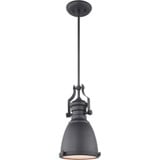 Cresswell Series 1 Light Small Pendant by Matteo - C53801