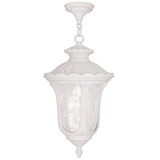 Oxford 3 Light Clear Glass Outdoor Wall Lantern 22.5 Inch Tall by Livex - 7857