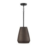 Della 1 Light Pendant 13 Inch Tall and 10 Inch Wide by Capital - 354213