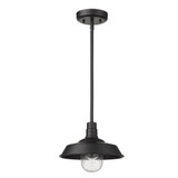 Burry 1 Light Small Outdoor Convertible Pendant by Acclaim - 1736
