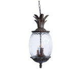 Lanai 3 Light Small Outdoor Pendant by Acclaim - 7516