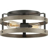 Gulliver 2 Light 14.37 Inch Wide Flush Mount by Progress - P350169