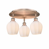 Norfolk 3 Light 17.5 Inch Wide Flush Mount by Innovations - 516-3C-G46-6