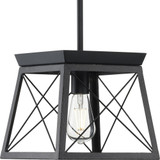 Briarwood 1 Light Small Pendant by Progress - P500041