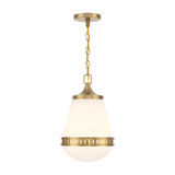 Endura 1 Light Pendant 16.5 Inch Tall and 10 Inch Wide by Savoy House - L7-7950-1-