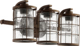 Ellis 3 Light Vanity Light by Quorum - 5364-3