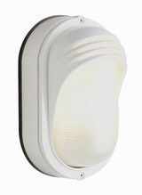The Standard 1 Light Aluminum Outdoor Wall Lantern by Trans Globe - 4124