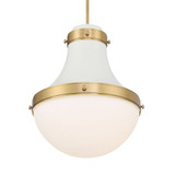 Purelight 1 Light Pendant 19 Inch Tall and 16.25 Inch Wide by Minka Lavery - 3934