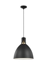 Sean Lavin 1 Light Medium Pendant 17 Inch Tall by Visual Comfort Studio - P1442