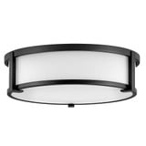 Lowell 21W 3 LED 10.6 Inch Wide Flush Mount by Hinkley - 3243