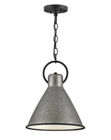 Winnie 1 Light Medium Pendant by Hinkley - 3557