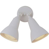 2 Light Outdoor Flood Ligh 10 Inches Tall and 12 Inches Wide by Craftmade - Z402-1012