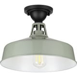 Cedar Springs 1 Light 13.25 Inch Wide Flush Mount by Progress - P550070