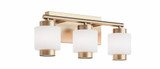 Sydney 20W 3 LED Light Vanity Light by AFX - SYDV2107LAJUD