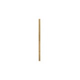 Accessory 12 Inch Stem .5 Inch Diameter by Hinkley 6060 - 6060