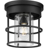 Burgess 1 Light 8.87 Inch Wide Flush Mount by Progress - P350236