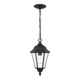 Bakersville 1 Light Traditional Outdoor Small Pendant by Generation - 60938