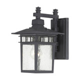 Cove Neck 1 Light Outdoor Wall Lantern 11.75 Inch Tall by Nuvo - 60-349