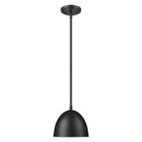 Vega 1 Light Pendant 7 Inch Tall and 8 Inch Wide by Z Lite - 4501P8