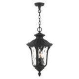 Oxford 3 Light Medium Outdoor Pendant by Livex - 7858