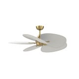 Islander DC 5 Wide Oval Blade Ceiling Fan 52 Inch Wide by Fanimation - FPD3250-52WO