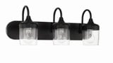 Wrenn 3 Light Vanity Light by Craftmade - 58103